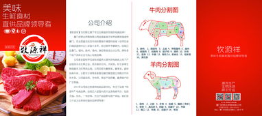 高效傳播的藝術(shù) 從產(chǎn)品手冊到折頁廣告的全鏈條廣告代理解決方案
